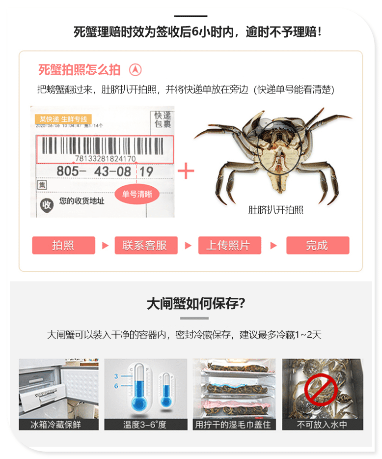 鲜活兴化大闸蟹礼盒套餐360型(图12)
